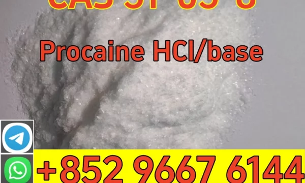 High purity cas 51-05-8 procaine Hcl hydrochloride global shipping