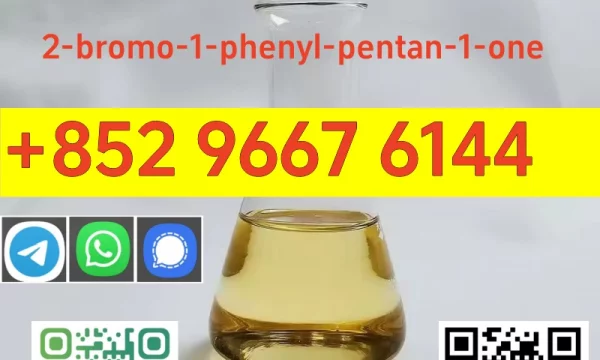 Manufacturers Supply Cas 49851-31-2 Organic Chemicals Intermediate 2-Bromo-1-phenyl-1-pentanone Low Price