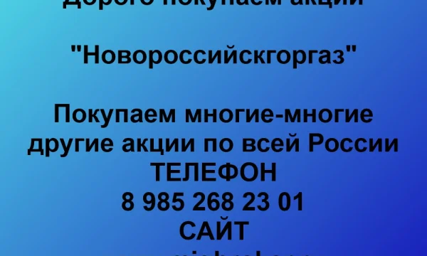 Покупаем акции &laquo;Новороссийскгоргаз&raquo; по выгодной цене! 0