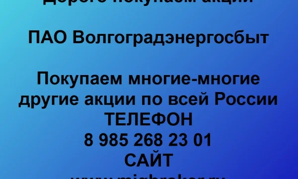 Покупаем акции «Волгоградэнергосбыт»: выгодное предложение! 0