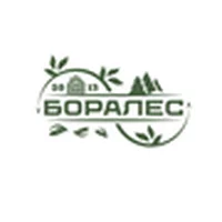Боралес Боралес