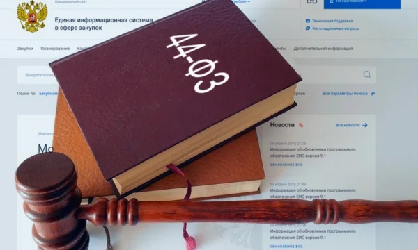 Услуги юриста по госзакупкам. Тендерное сопровождение во Владивостоке 0