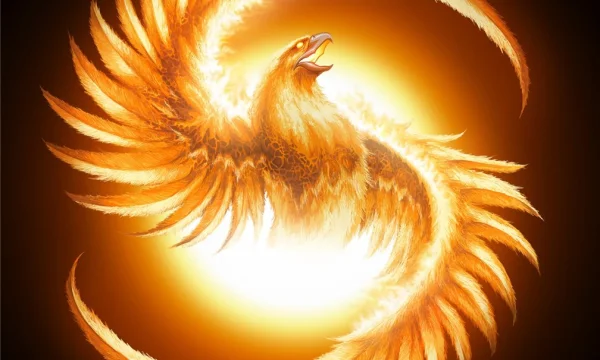 Ритуальные услуги в г. Луганске 0