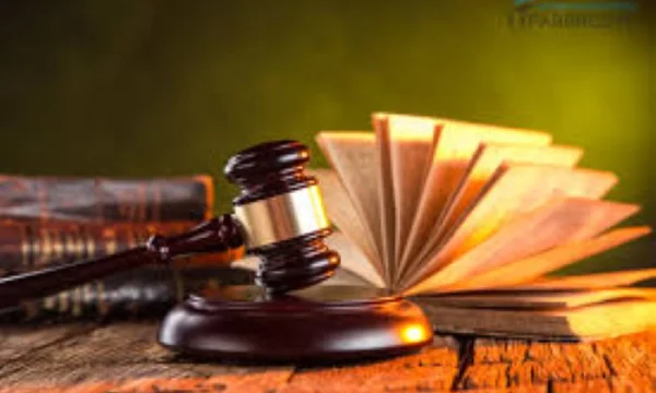 Защита чести, достоинства и деловой репутации для юридических лиц во Владивостоке 0