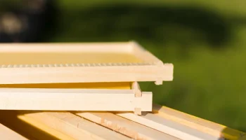 Прогноз BN Group: рост цен на CLT-панели в 2026 году не превысит 7%