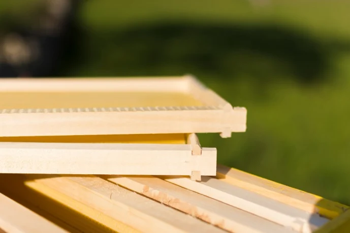 Прогноз BN Group: рост цен на CLT-панели в 2026 году не превысит 7%