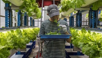 Посол России рассказал об интересе бизнеса к трудовым мигрантам из Индонезии