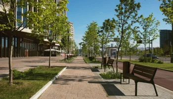 Россияне назвали одно условие, положительно влияющее на настроение и продуктивность в течение рабочего дня