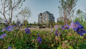 Более полумиллиона растений высадят в смарт-районе СберСити