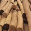 Акация, карагач круглый лес, пиломатериалы оптом.