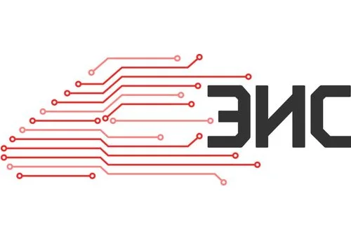 ЭИС