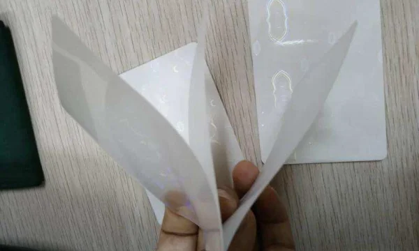 Голограммы для водительских прав — надежная защита и стиль в одном решении! 0