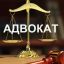 Адвокат Жаворонкова Карина Игоревна.
