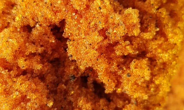 выкупаем катионит анионит сульфоуголь ар-в аг-3 бау-а дак и много разной химий с хранения 1