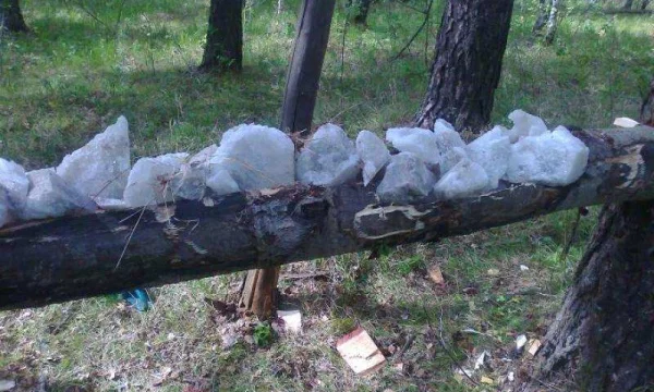 Соль для охоты. Лизунцы для солонцов 1