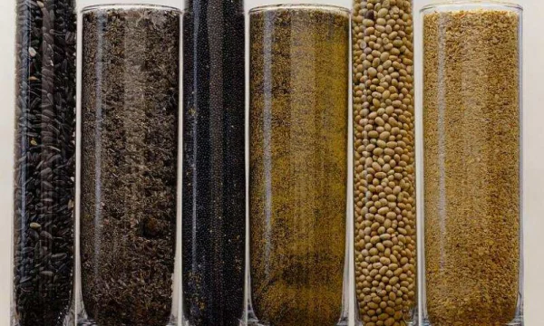 Шрот подсолнечный 37-38 на АСВ 0