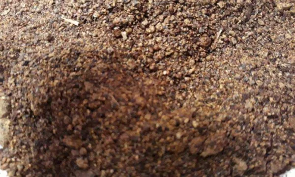 Сухая патока от 10т для увеличения молочности коров 0