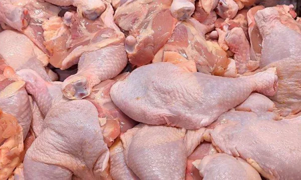 Мясо Говядина, Свинина, Птица опт, производство 1