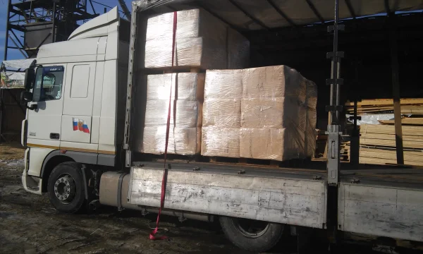 More Опилок Компания 5