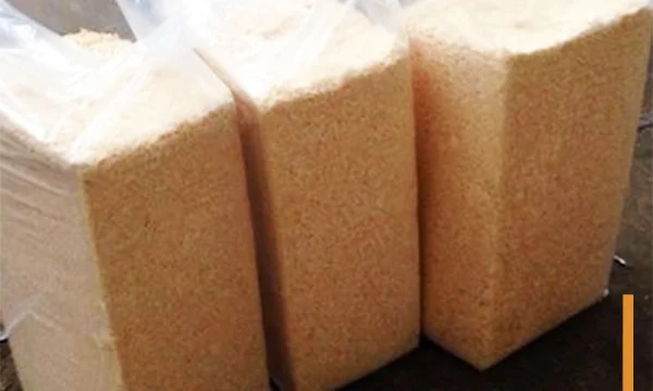 More Опилок Компания 2