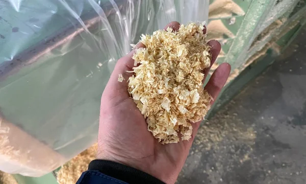 More Опилок Компания 3