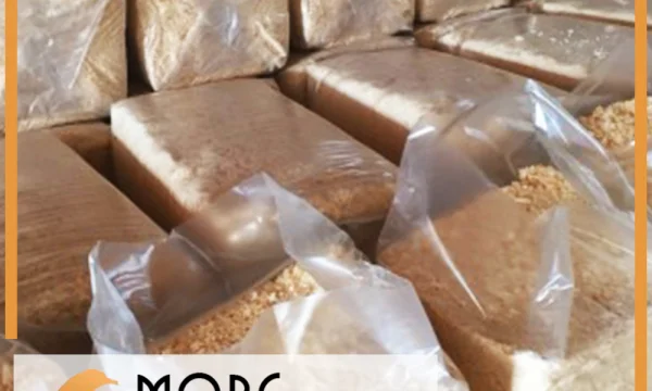 More Опилок Компания 0