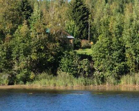 Продам участок 25 соток на первой линии Свири: тишина, природа и статусное место 1