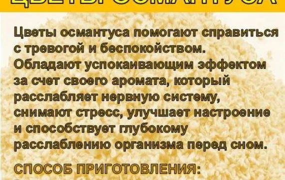 Целебные экзотические чаи и купажи 3