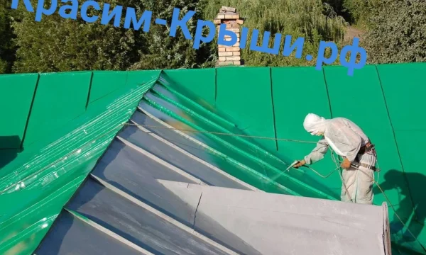 Покраска Крыши Дома в Домодедово от 450.р\м2 0