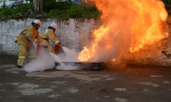 Частная охранная организация Цербер 4