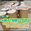 Procaine crystals Powder 59-46-1 Raw Powder 99% Purity