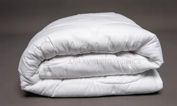 ДОМ ДЛС ООО 3