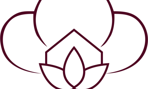 ДОМ ДЛС ООО ДОМ ДЛС ООО