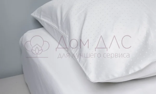 ДОМ ДЛС ООО 0