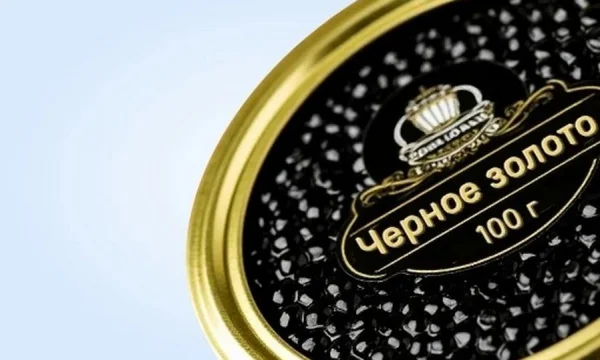 Типография Олимия ООО АЛЬФАРИНТ 3