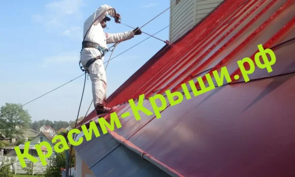 Покраска Крыши (кровли) дома в Старой Купавне от 350р/м2 1