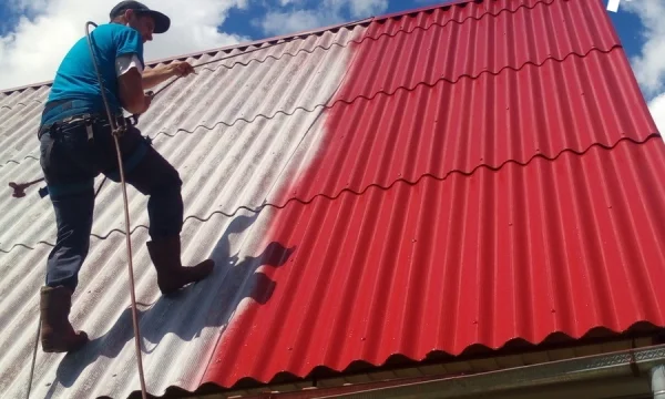 Покраска Крыши (кровли) дома в Красноармейске от 350р/м2 2