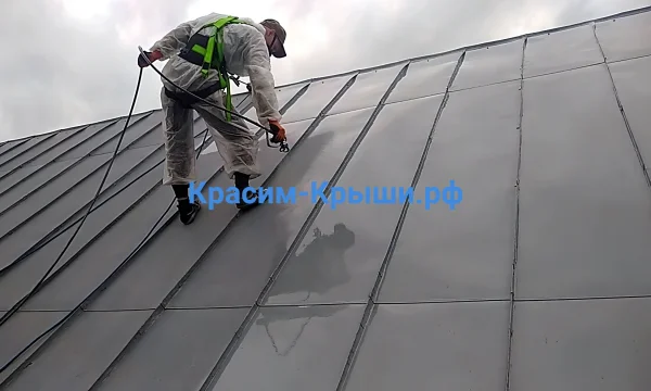 Покраска Крыши (кровли) дома в Электроуглях от 350р/м2 3