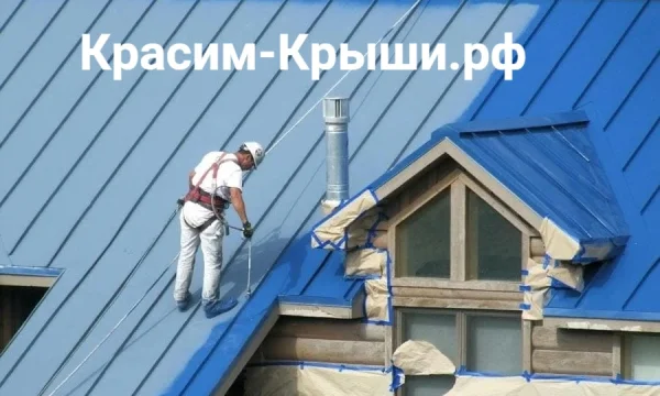 Покраска Крыши (кровли) дома в Домодедово от 350р/м2 3