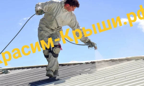 Покраска Крыши (кровли) дома в Черноголовке от 350р/м2 3