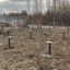 Сваи 89 мм под веранду и пристройку. Саратов