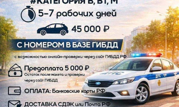 Помощь водителям, изготовление голограмм, консультации по документам 3