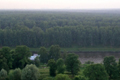 Громова объявили в раздаче лесов под застройку